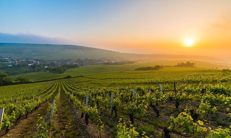 Maison Coeur De Sancerre Εξωτερικό φωτογραφία
